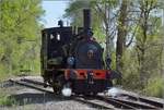 CFTR, die charmante Museumsbahn im Neubreisacher Urwald.