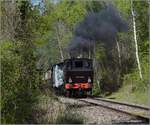 CFTR, die charmante Museumsbahn im Neubreisacher Urwald.