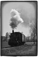 Am Montag, 07.04.2025, verkehrte die elsässische Museumsbahn CFTR Riedexpress als private Charterfahrt vom Bahnhof Volgelsheim zum Haltepunkt Sans-Souci am Rhein und zurück. Hier beschleunigt die Dampflok 030 TBI 30  Berthold  den Museumszug bei Baltzenheim für die Fotografen um die Kurve.