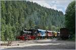 In Frankreich betreibt die Coni'Fer (CFTPV - Chemin de Fer Touristique Pontarlier - Vallorbe) auf einem Teilstück der Strecke Pontarlier - Vallorbe mit den Dampfloks E 3/3 und (ex DR) BR 52 einen