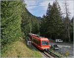 Auch der Zug der Gegenrichtung, der SNCF Z 850 52 ((94 87 0001 852-6 F-SNCF), welcher als TER 18905 auf dem Weg nach Vallorcine ist, fährt in La Joux ohne Halt durch.