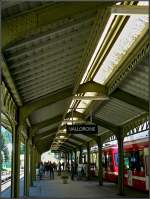 Das schne Dach des Bahnhofs von Vallorcine fotografiert am 03.08.08.