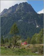 Kleiner Zug in grandioser Landschaft ein SNCF TER bei Le Buet auf der Fahrt Richtung Vallorcine.