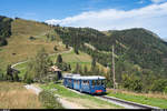 Tramway du Mont-Blanc am 26. August 2020<br>
Triebwagen Marie mit Vorstellwagen zwischen Col de Voza und Bellevue.