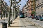 An den Alleebäumen entlang -    Die Straßenbahngleise im Boulevard de la Victoire (Linie C) wurden auseinander gezogen um in Straßenmitte Platz zu lassen, für Bäume und einen