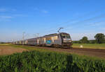 Melsheim - 17. Juni 2025 : BB 26168 am TER 830110 ven Strassburg nach Saarburg.