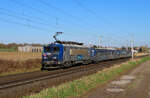Hochfelden - 26. Februar 2026 : BB 22270 mit RRR 306 am TER 832020 von Selestat nach Saverne.