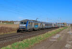 Hochfelden - 26. Februar 2026 : BB 26142 am TER 835024 von Strassburg nach Nancy.
