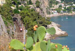 Sonne, Kaktus, Berge und Meer: Regionalzug zwischen Monaco und Nizza bei Eze sur Mer, fotografiert von der Strasse hoch über den Gleisen aus.