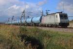 Am 8 Oktober 2026 wird RFO 186 003 mit ein ganz blauer Kesselzug auf den Weg nach Emmerich auf die Betuwelinie bei Valburg fotografiert.