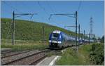 Zum Schluss noch eine Alternative zur Eisenbahnfotografie in Frankreich: Die Strecke Genève - La Plaine, im äussersten Westen der Schweiz und mit relativ viele SNCF Verkehr nach Lyon, Paris