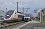 Auf Gleis B in Annemasse ist der SNCF TGV Rame 711 als TGV inoui 6482 von St-Gervais-les-Bains-Le Fayet nach Paris Gare de Lyon eingetroffen, w�hrend auf Gleis A der SNCF B 82726 Annemasse als TER