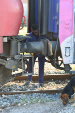 Bahnhof Strimon (Strymonas-Στρυμώνας) - Makedonien - Griechenland 
Kurswagen nach Sofia bekommen für die Fahrt vom griechischen Bf Strimon zum bulgarischen Grenzbahnhof Kulata eine neue Lok (220 03 1). 

Ein Bahnarbeiter koppelt die Lok 220 03 1 an die wartenden Wagen. 
Daneben auf dem Bahnsteig ein hungriger Straßenhund.

(Aufnahme: 01.04.2017 - 8:11 Uhr)