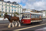 Douglas Bay Horse Tramway  William , 13.