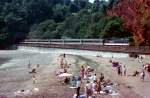 Im Sommer fahren auf der Strecke Exeter-Paignton mehrere Zuege im Urlaubsverkehr.