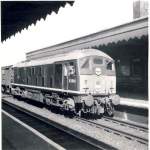 D5040, eine Lok aus einer der ersten Gross-Serien von Dieselloks fr British Railways, Baujahr ab 1958.