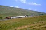 66112 bei Ribblehead zwischen Carlisle und Settle, 03.09.2010.