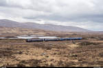 Zwei ScotRail 156 am 25. April 2019 auf dem Weg von Glasgow Queen Street nach Mallaig kurz vor Corrour. Der vordere ist das einzige von mir gesichtete Fahrzeug, welches noch im alten First-ScotRail-Farbschema unterwegs ist.