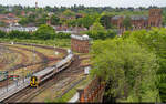 Transport for Wales 158 829 / Shrewsbury, 19. Mai 2026<br>Birmingham International - Llandudno Junction
