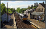 Angestrahlt von der Nachmittagssonne zieht 66423 der Direct Rail Services am 12.05.2025 einen Containerzug durch Blair Atholl.