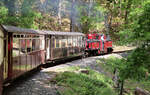 Die Ffestiniog Railway mit den speziellen Double-Fairlie-Dampfloks unterwegs in den Wäldern von Wales von Porthmadog nach Blaenau Ffestiniog.