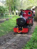 Schwere Dampflokomotive die fr den Transport von Touristen im Longleat Safari Park zum Einsatz kommt.