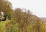 Die Vale of Rheidol Bahn in Wales.