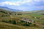 Ein Regionalzug auf der Linie Carlisle - Settle hat den Scheitelpunkt bei Ais Gill �berwunden und rollt in den BAhnhof Garsdale ein, 03.09.2010.