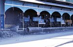786 + 798  Darjeeling  02.04.96