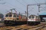 WAP-7 39024 und 30441 warten im Bhf. Delhi - Hazrat Nizamuddin auf neue Einsätze. (29.01.2024)