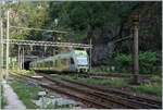 Der BLS RABe 535 124  Lötschberger  verlässt in Iselle als RE nach Bern unterwegs und verschwindet in Kürze im 169 Meter langen  Tunnel von Iselle .