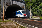 Der ETR 563 002-6  Città di Gorizia  taucht aus dem 5575 Meter langen Campiolo-Monte-Palis-Tunnel bei Moggio auf und wird nach einer kurzen Fahrt im Tageslicht über die Val-Aupa-Brücke, im 9222 Meter Langen Zuc-del-Bor-Tunnel verschwinden.
Unterwegs war die Garnitur als R 21002 (Trieste Centrale - Cervig.-Aquil.-Grado - Udine - Tarvisio Boscoverde)

Aufgenommen am 14.8.2016.