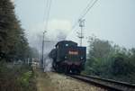 01 nov 1983, 740.144 on the main line Roma-Ancona with his steam special train near Serra San Quirico ( AN )