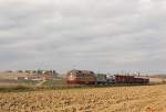 FS D342.4010 - special photo-freighttrain organized by Photorail, here between Torrenieri and Monte Amiata on the 30th of October in 2010