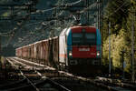 INR 190 313 durchf�hrt am 23.05.2026 mit einem G�terzug in Richtung �sterreich den Bahnhof Ugovizza-Valbruna.