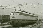 Die formsch�ne FS E 444 080  Tartaruga  (Schildkr�te) rangiert in Domodossola. Die FS verf�gte �ber 117 Loks dieser Baureihe, die mit einer maximalen Geschwindigkeit von 180 km/h im schnellen Schnellzugsverkehr zum Einsatz kamen, sp�ter aber im Frontbereich optisch wenig vorteilhaft umgebaut wurden aber noch lange Zeit im Einsatz standen. Neben der E 444 080 zeigen sich im Hintergrund einige FS E 626; die damals haupts�chlich im G�terverkehr eingesetzt wurden. Analogbild vom Mai 1985 

Analogbild vom Mai 1985 