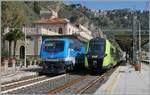 Neben den herrlichen Bahnanlangen in Taormina Giardini gef�llt auch der bunte Bahnverkehr, hier mit der FS Trenitalia E 464 231 mit ihrem Nachtzug nach Siracusa und einem in dem neuen FS Trenitalia gehaltenen Regionalzuglackierung gehaltenen Coradia  ...