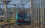 <U>Bella Calabria.</U>

Die nicht janusköpfige E464 311 begibt sich auf den Weg nach Reggio Calabria. Rosarno, im August 2013.