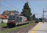 Die GTS Rail (General Transport Service SpA) 483-052 verlässt mit einem Güterzug den Bahnhof von Gallarate.

23. Mai 2023