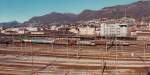 4 Güterzüge sind in pole position, während einer gerade den Bahnhof verläßt und ein anderer auf seine italienische Lok wartet, Chiasso Februar 1996