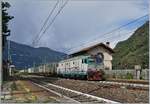 Die FS E 652 157 fährt mit einem  Ambrogio -Güterzug durch Vogogna.