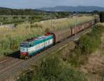 Die sechsachsige FS E 655 295  Caimano  war am 09.09.2013 mit einem Güterzug in Richtung Livorno unterwegs, und wurde von mir unweit des toskanischen Badeortes Follonica am Tyrrhenischen Meer