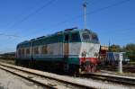 Italien E 655 187 kurz vor Pisa S. Rossore 22.09.2013