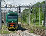 Nun hat der Trenord Ale 711 027 als S 5 nach Treviglio den Bahnsteig in Gallarate fast erreicht.
