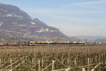 Ein ETR 170 am 07.03.2015 bei Salorno.