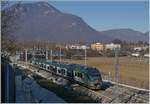 Der Trenord ETR 425 023 ist bei Arcisate auf dem Weg von Porto Ceresio nach Milano Garibaldi.