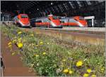 Ein etwas anderer Blick auf die schnellen Frecca Rossa FS ETR 500 in Milano Centrale.
5. Mai 2014