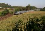 E 464.427 zieht ihren RV 2161 von Torino Porta Nuova nach Genova Brignole, bei Serralunga in der Nhe von Villafranca d'Asti, 30.08.11