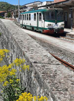 Blumen, Mauer und Zug: w�hrend des rund einst�ndigen Aufenthaltes in Linguaglossa bis zur R�ckfahrt nach Randazzo blieb gen�gend Zeit, um den Triebwagen ADe 18 und den Bahnhof von allen Seiten her zu fotografieren. Linguaglossa, 28.4.2026
