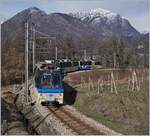 Ein SSIF Treno Panoramico von Domodossola nach Locarno kurz vor Trontano.
